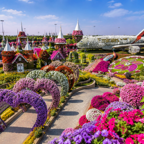 Miracle Garden