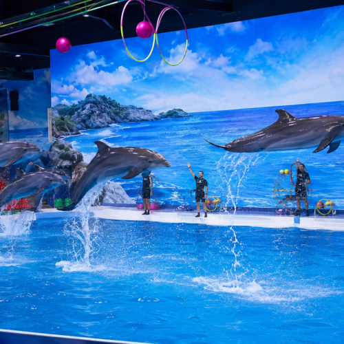 Dubai Dolphinarium